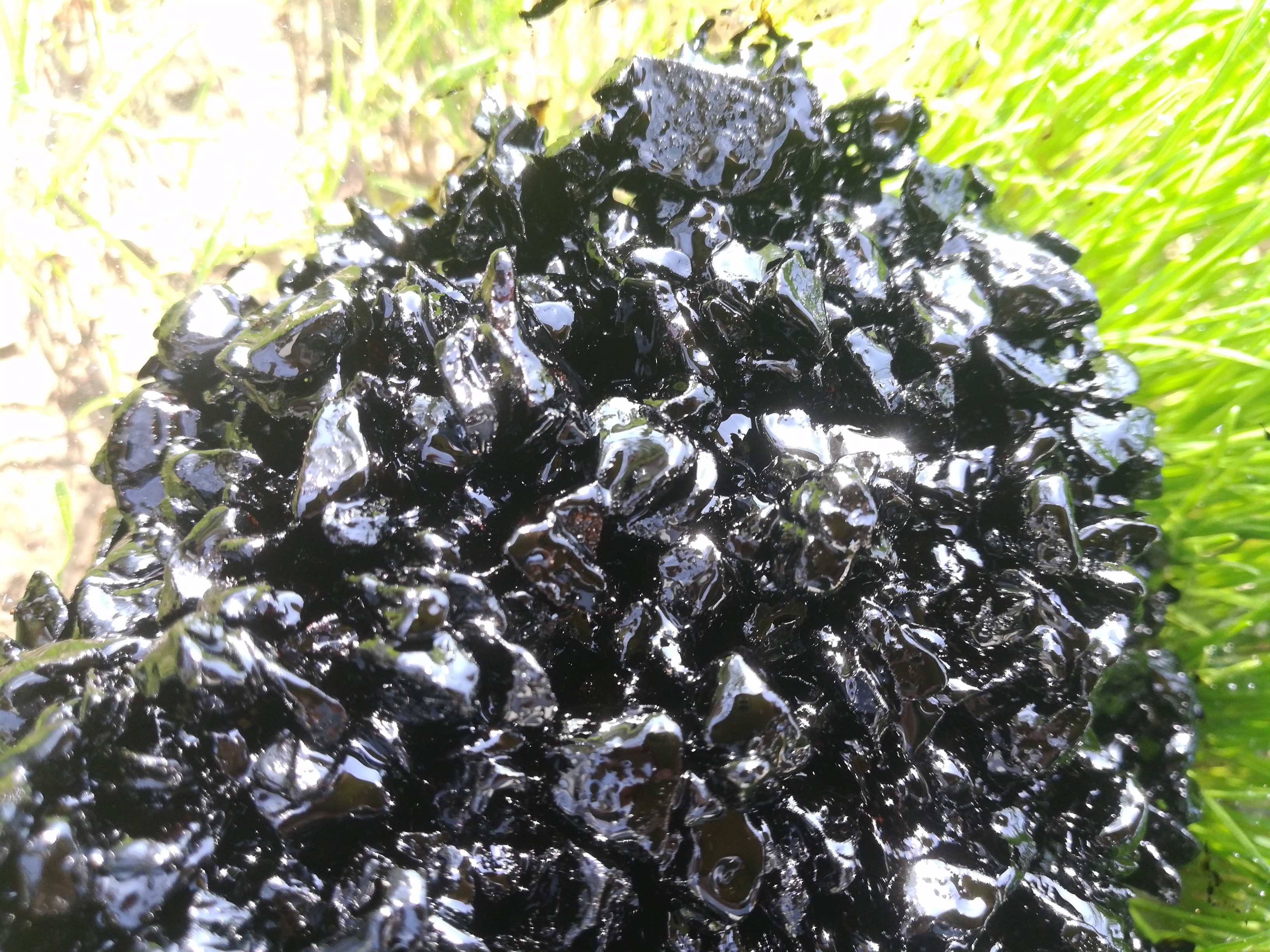 瀝青冷補料修補公路路面坑槽的七大好處